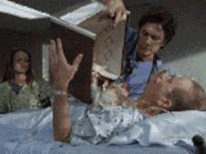 猫毛过敏接触养猫的人会过敏吗,为什么会对某些猫过敏