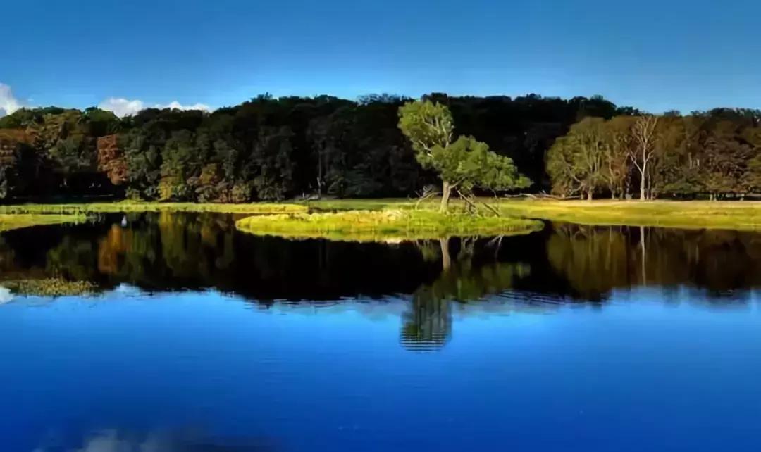 人生必经的4个经历,人生感悟经典好文