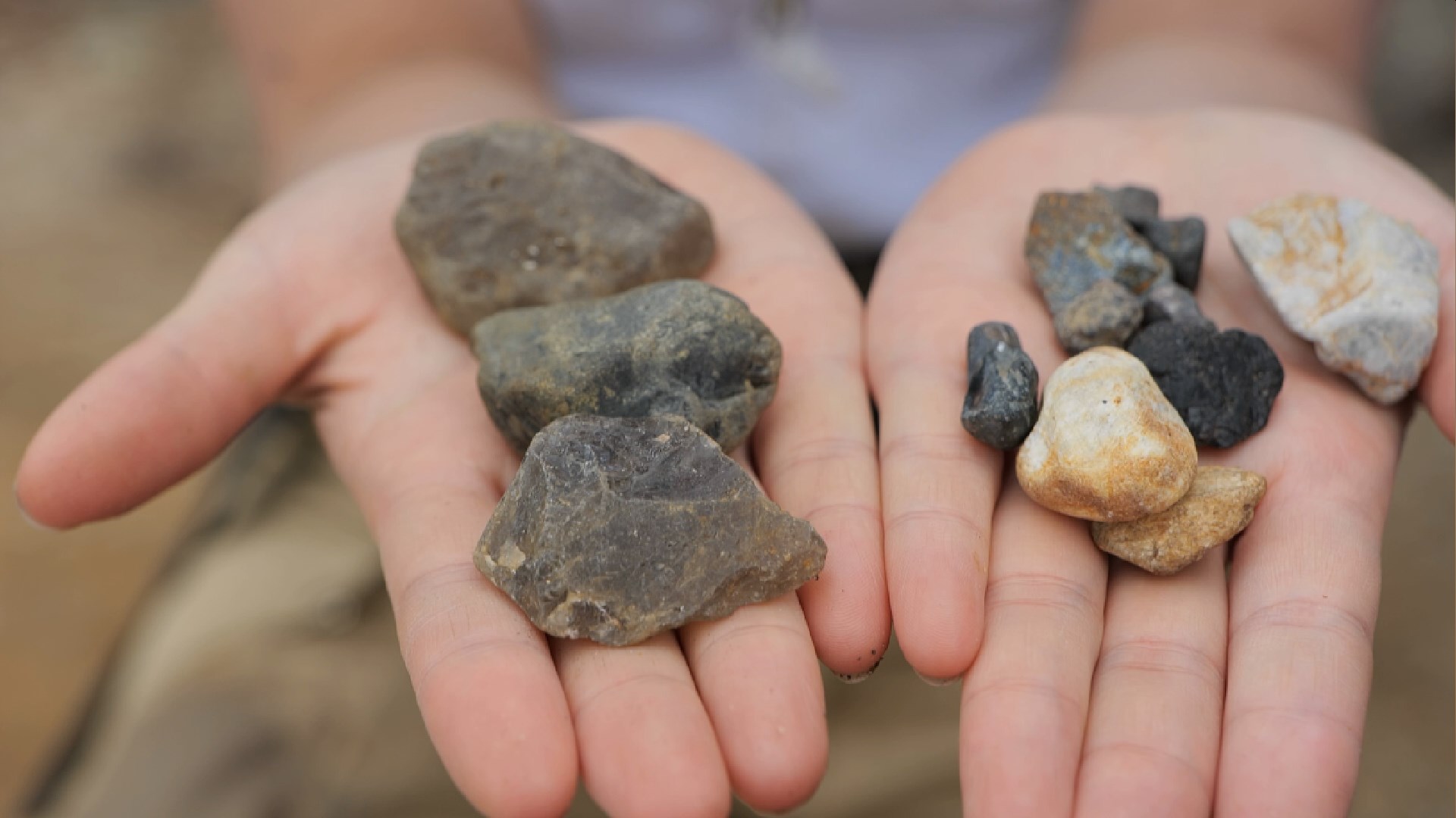 宝姐在斯里兰卡,宝姐的全部视频