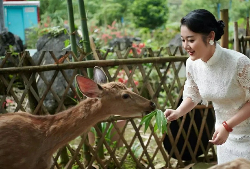 广西民宿推荐5天4晚,广西最美的民宿有泳池