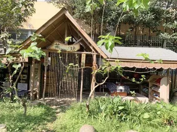 蒙氏教育幼儿园探园,参观蒙氏幼儿园的相关问题