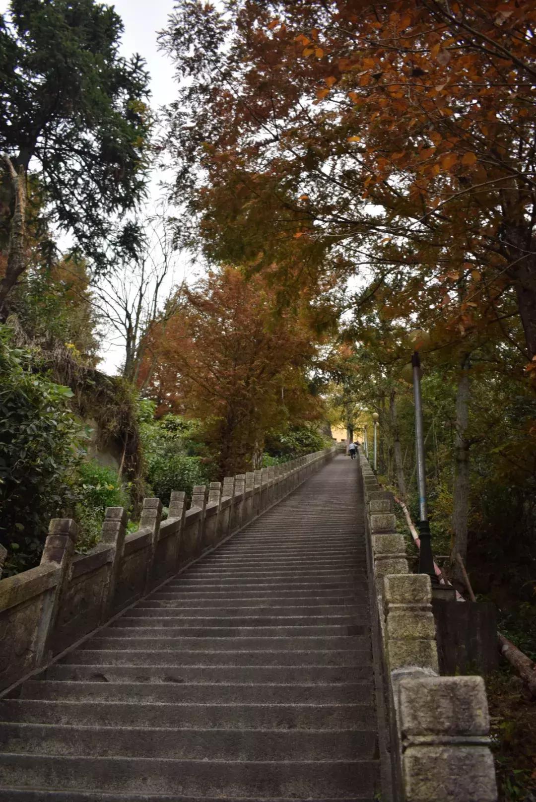 游九华山风景区,游九华山风景