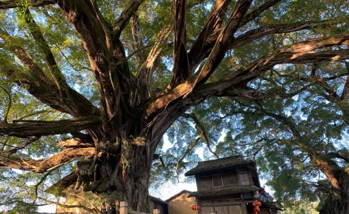 云水谣邂逅诗意的世外桃源,云水谣美景如画