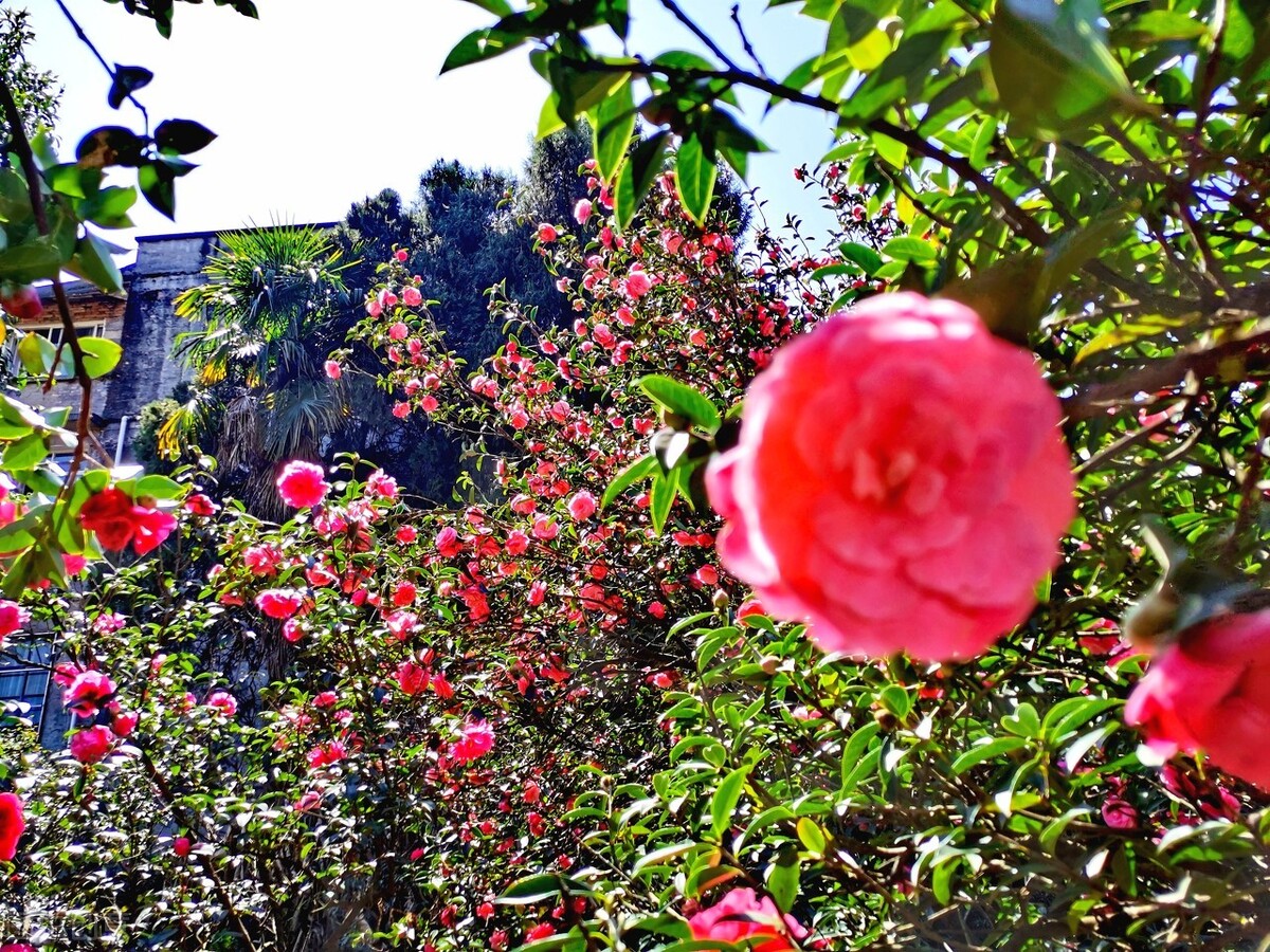 昆明市内游玩好去处 (云南昆明最值得玩的地方)