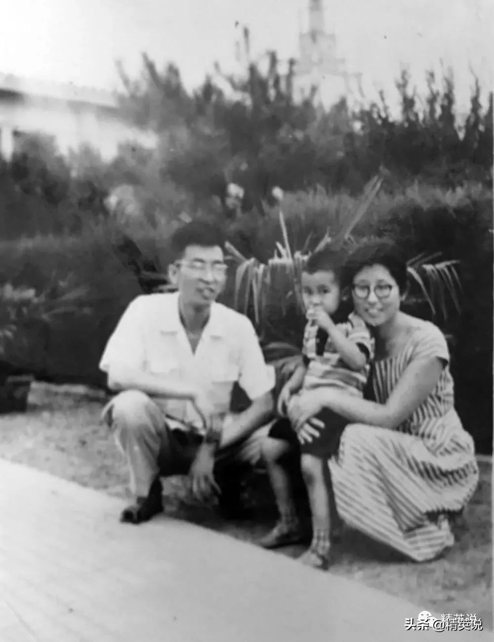 17岁上北大,20岁进哈佛的中国天才,却在34岁跳楼身亡…