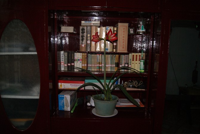 处世奇书围炉夜话全文,处世奇书围炉夜话的安身立业之道