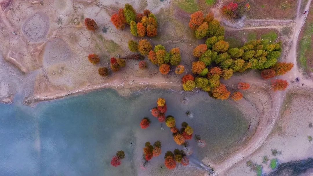 徽州赏秋三日游自驾游攻略,小众徽州赏秋村落