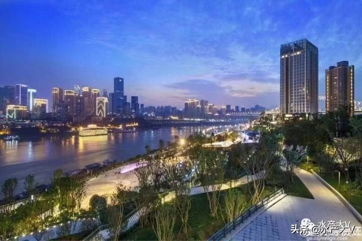 重庆弹子石板块房子,重庆弹子石商圈规划