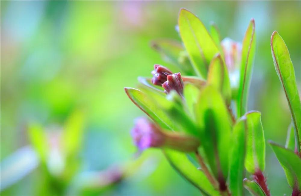 探秘！10000㎡打造世界烘焙商业新物种！！！（系列一）