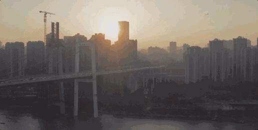 新手入门拍摄的视频,新手入门拍视频要买什么