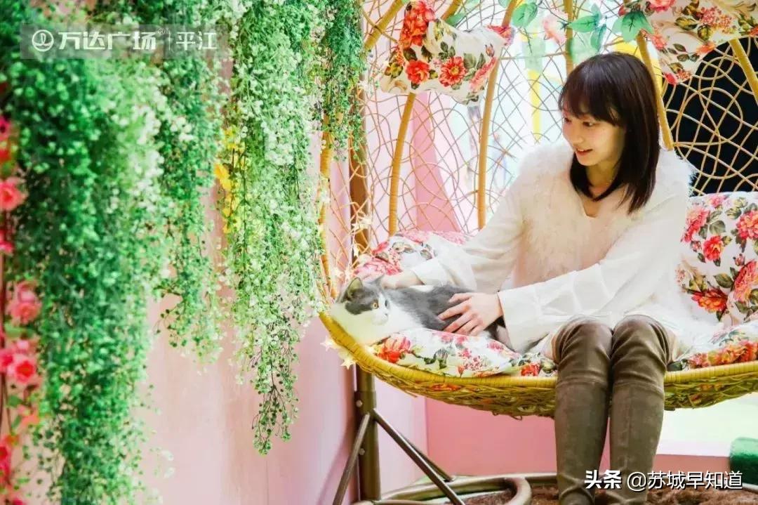 苏州市平江区万达广场,苏州平江万达广场