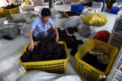 在农村赚钱门路很多,农村20万的生意