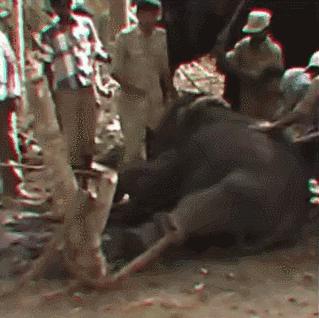 15岁怀孕,她被骗吃下*药炸**,一尸两命:有些人,这辈子不配为人