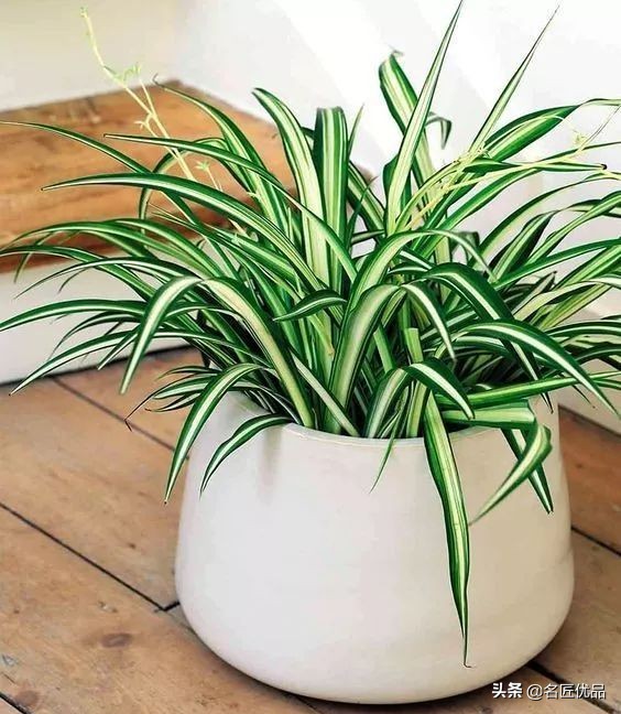 塑料旧手套,新买的手套被塑料和铁连在一起