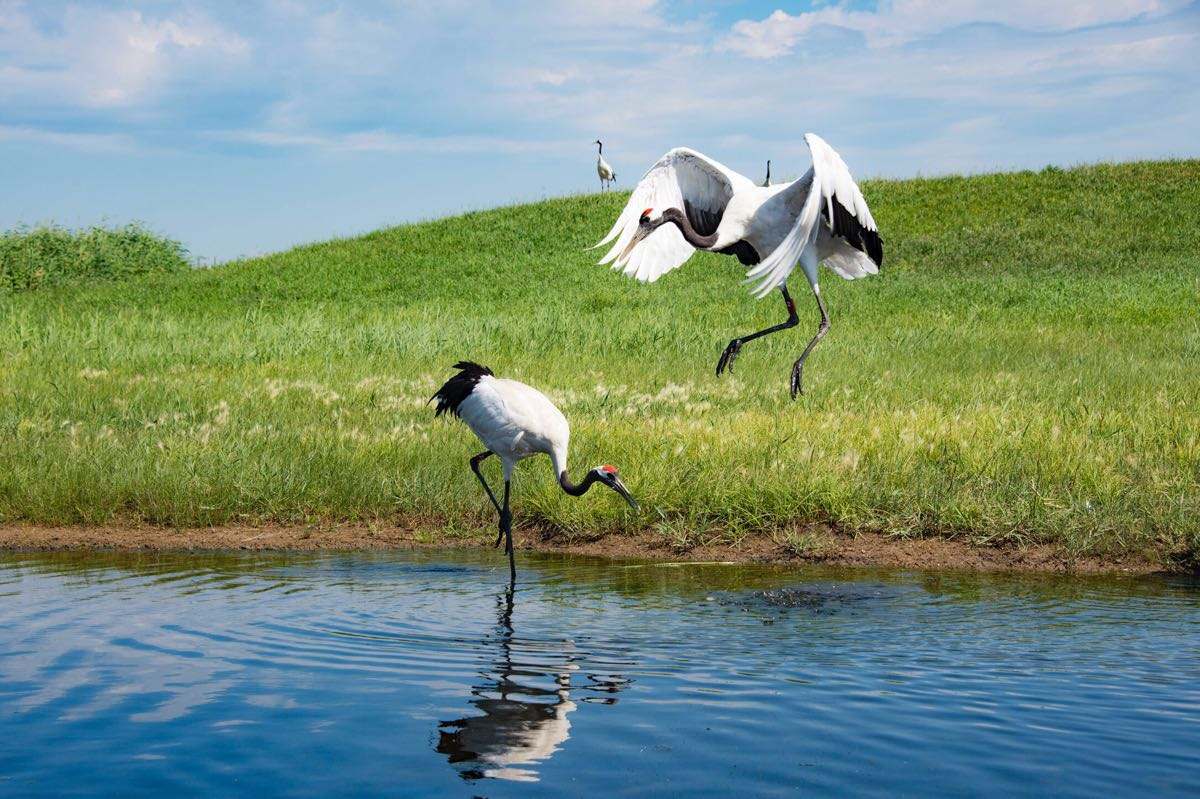 黑龙江人口破百万的城市,黑龙江13个城市人口对比