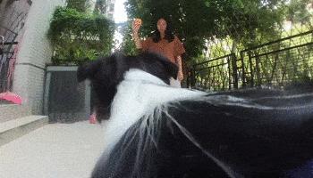 灞辩嫍t3娴嬭瘎,灞辩嫍t3pro娴嬭瘎