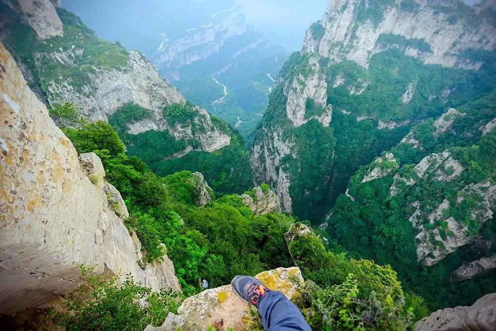 来迟了古诗词,来迟了原版