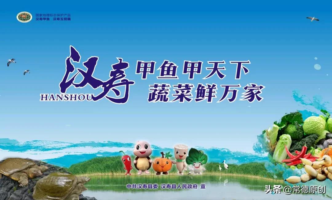 汉寿哪里的甲鱼最好吃,汉寿甲鱼甲天下介绍