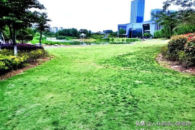 南京面积最大的公园，美不胜收却被游客忽略