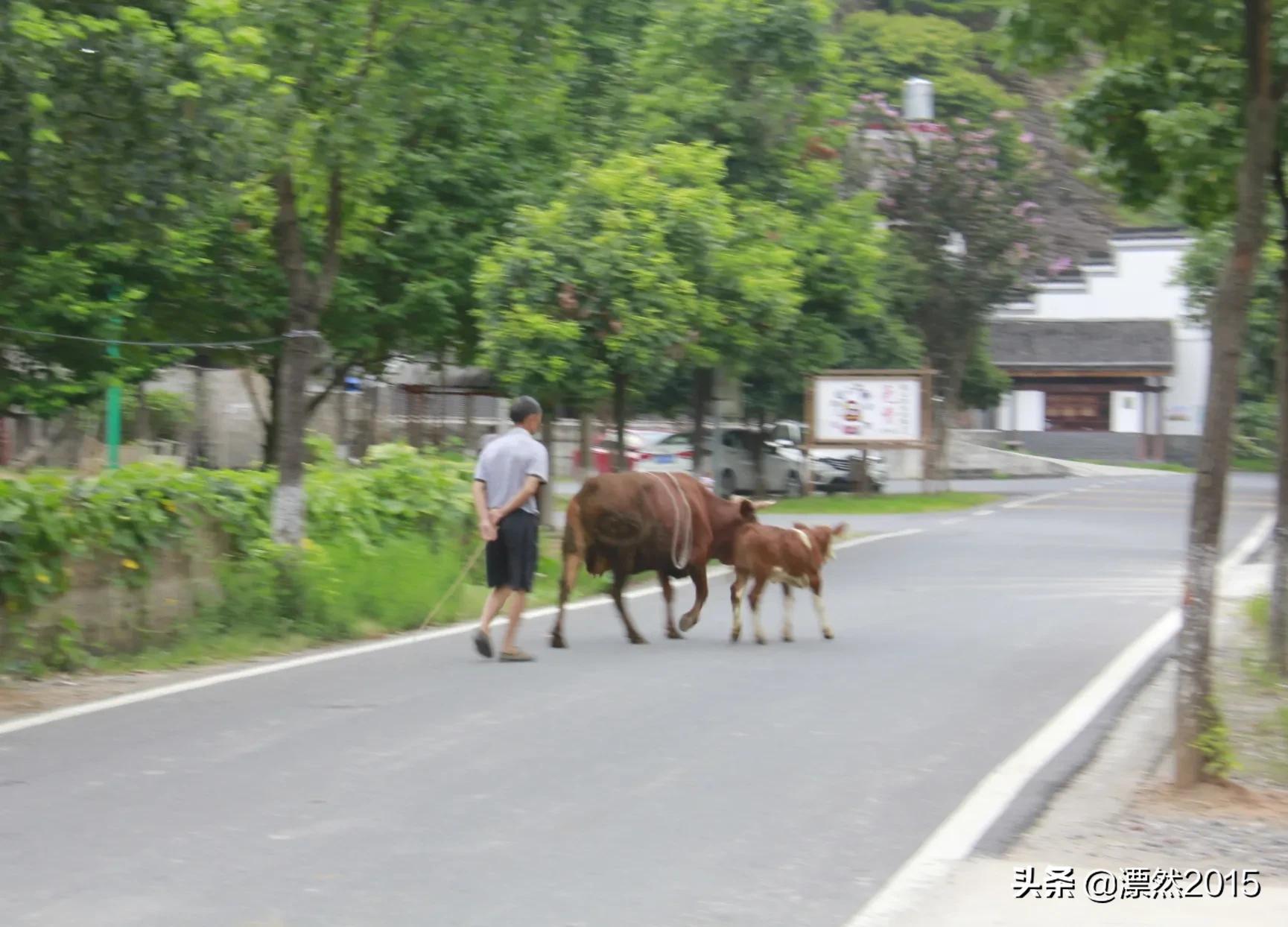 生日回想前面的日子,生日的独白