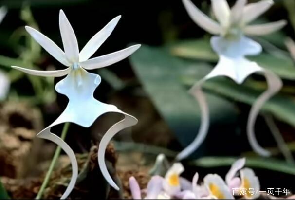 那些花上亿买豪宅的都是什么人,北京值得买的一套房