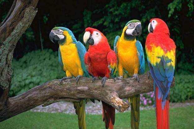 老书虫好书推荐,六本老书虫非常喜欢的网络小说