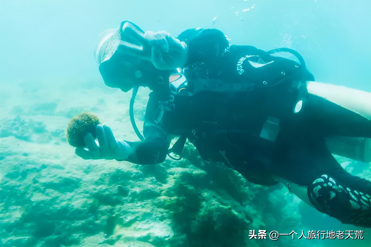 清明旅游一日游攻略,清明旅游三日游攻略