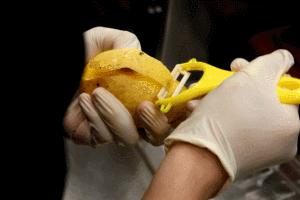 芒果吃饭攻略,芒果驾到