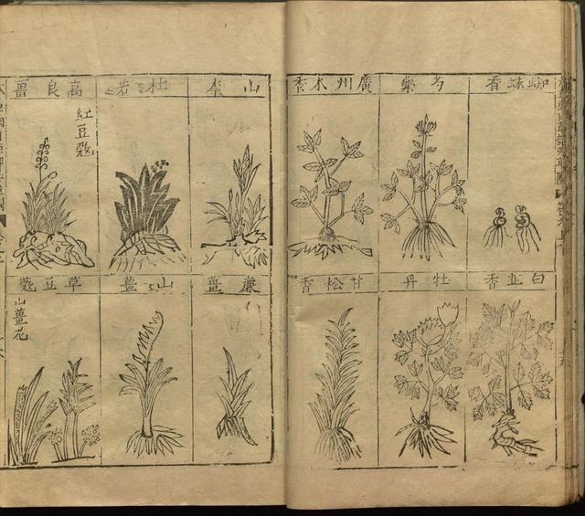 本草纲目中插图是李时珍画的吗,本草纲目李时珍插图