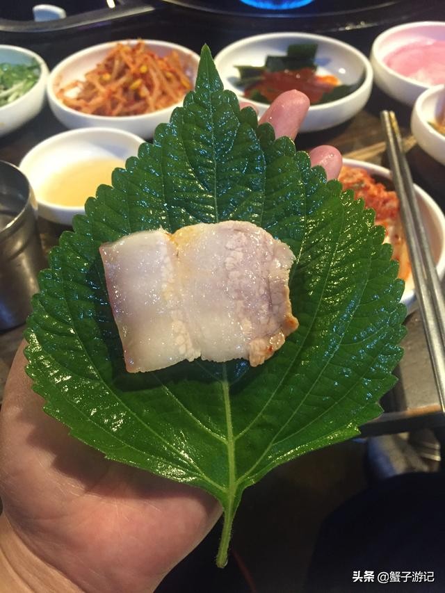 济州岛五天四晚超详细攻略，纯干货呦