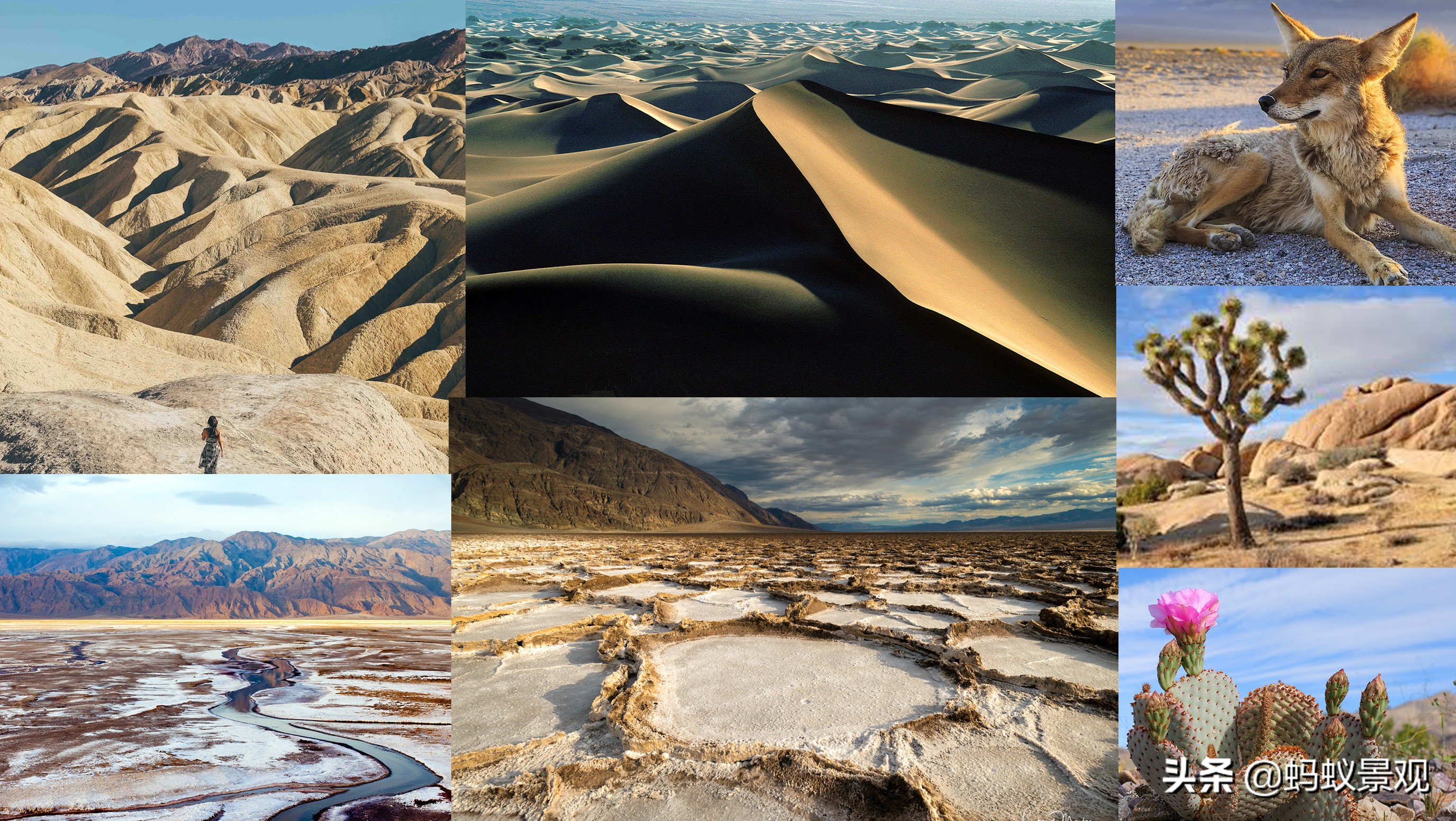 电影蒙太奇的理解,蒙太奇知识