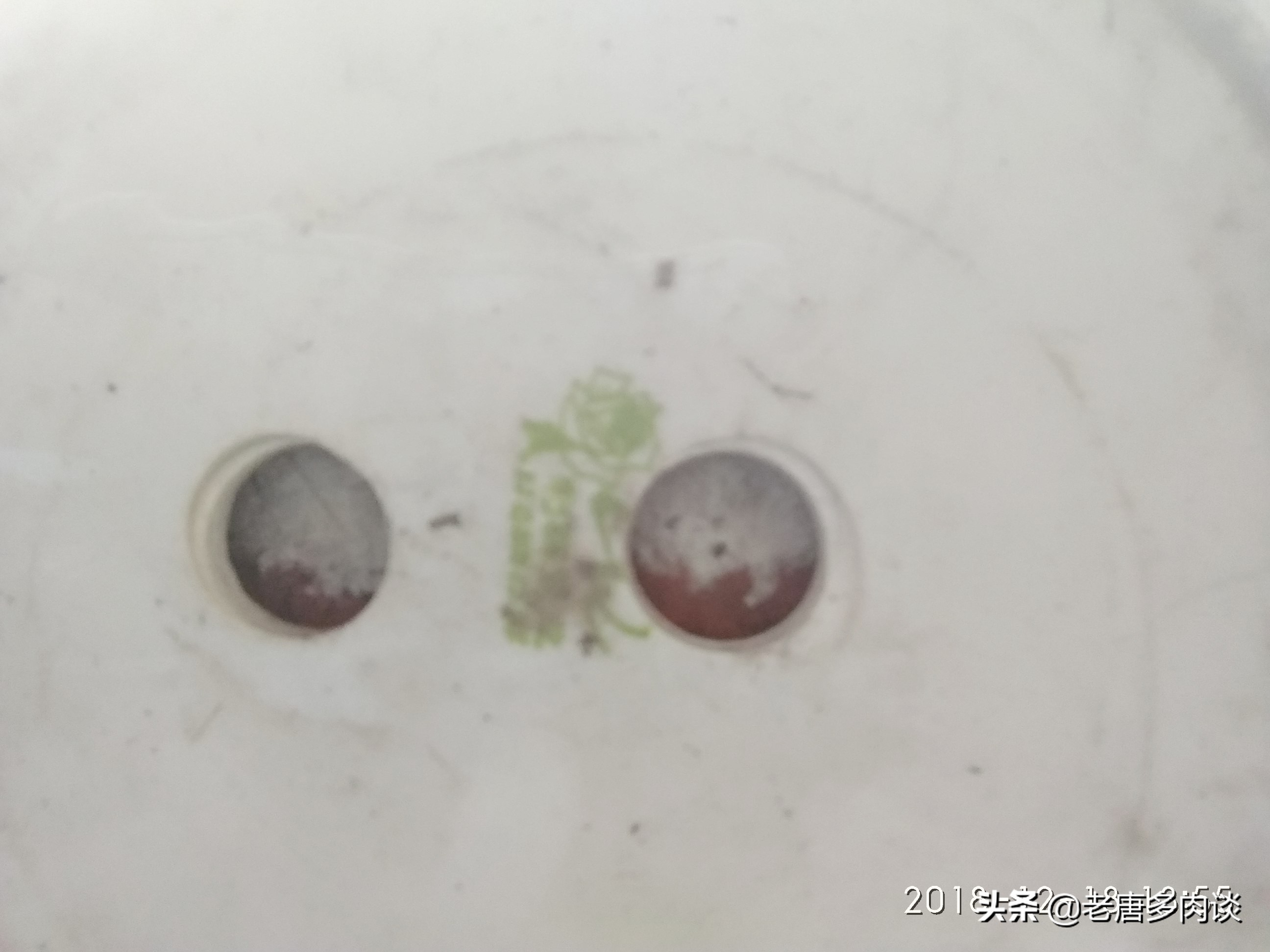 陶瓷盆种仙人球好吗,陶瓷盆打孔器养多肉