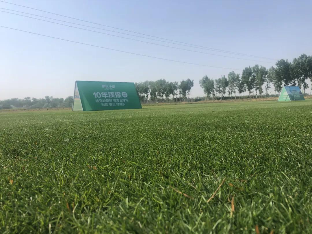 渭南建设专业足球场,渭南体育中心足球场