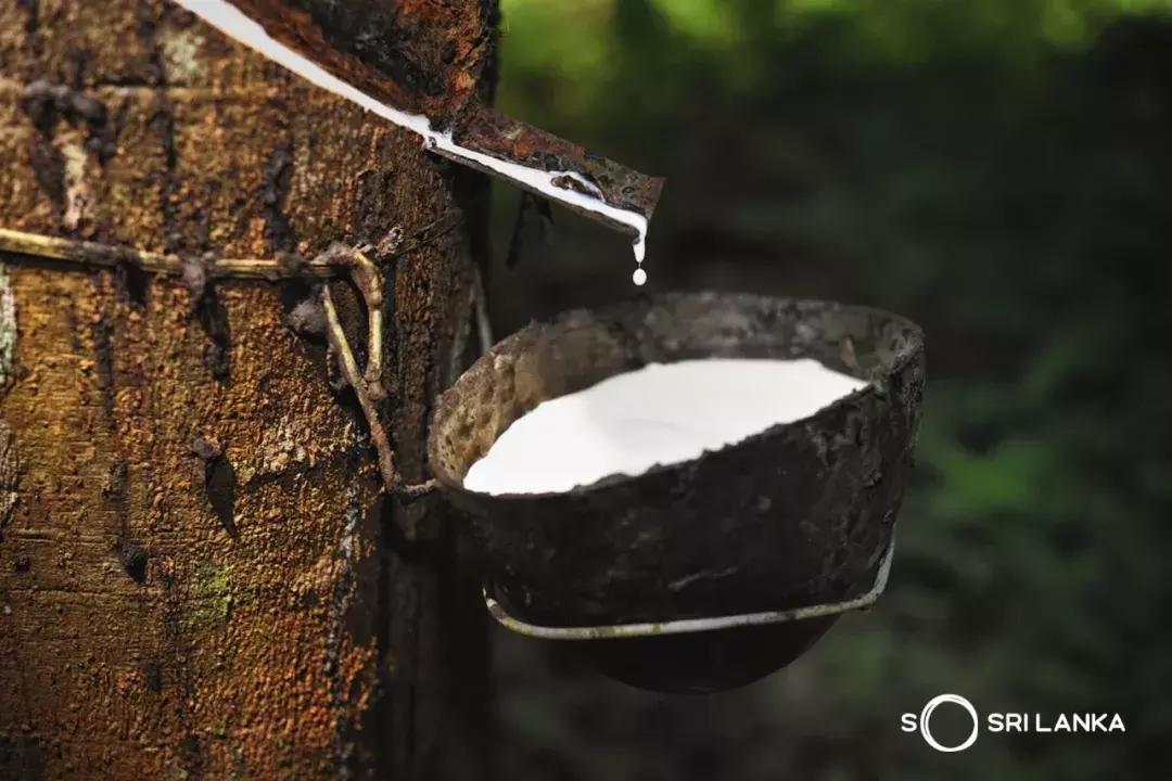 双十二你购物了吗,双十二你买东西了吗