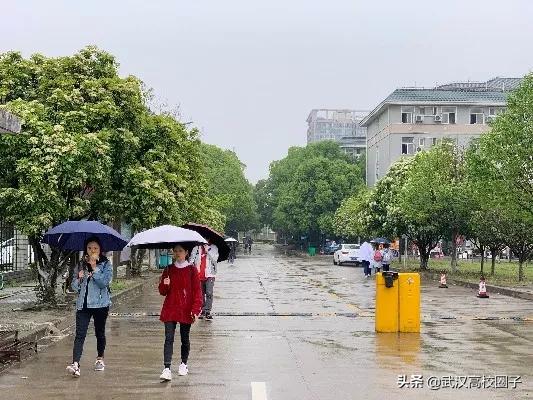 湖北中医药大学，是湖北省唯一一所高等中医药本科院校