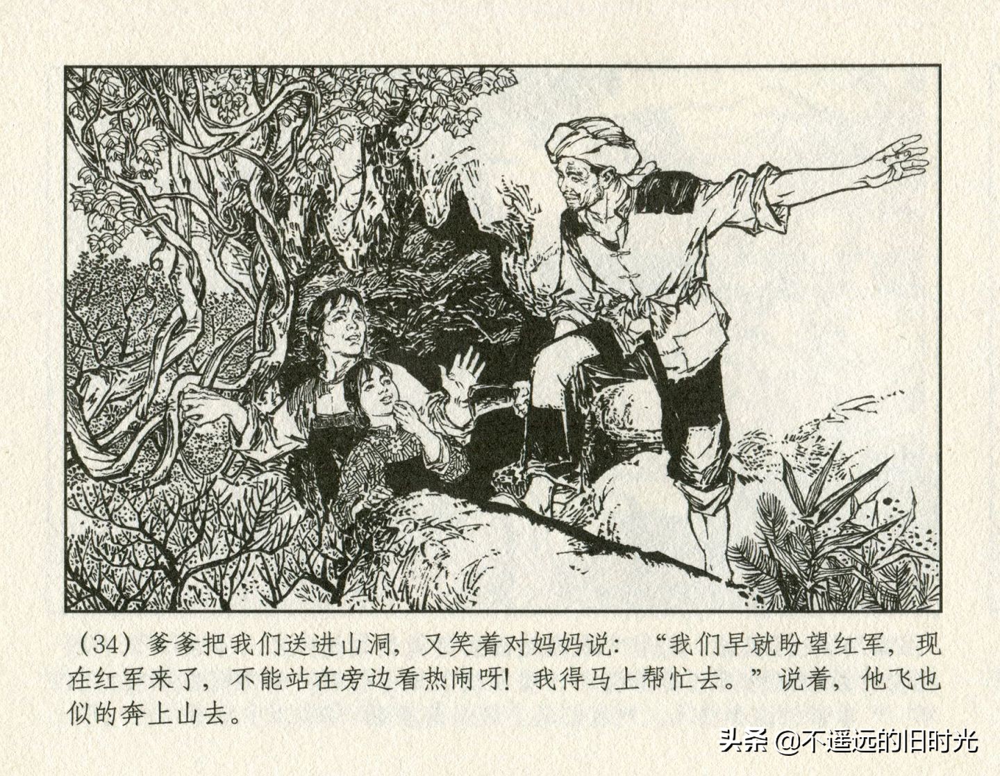 朝阳花-上海人民美术出版社1981初版2016再版陆成法陆小弟绘