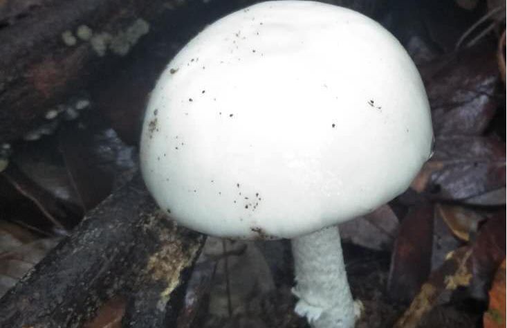 又有3人转入深圳市三医院，元凶却不是“新冠”！