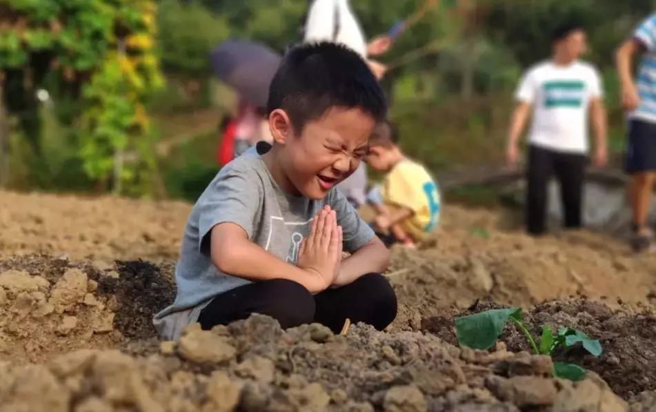 有机农场的盈利模式,生态农场亏损如何盈利