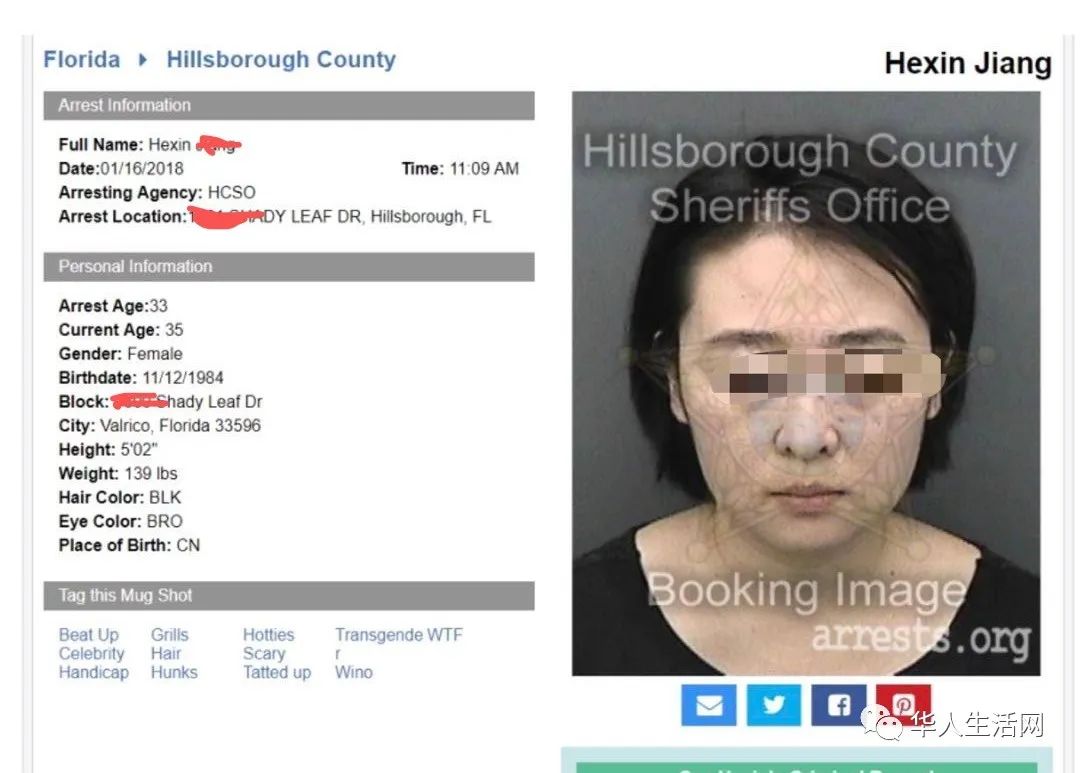 东北阿姨金句,东北阿姨发视频