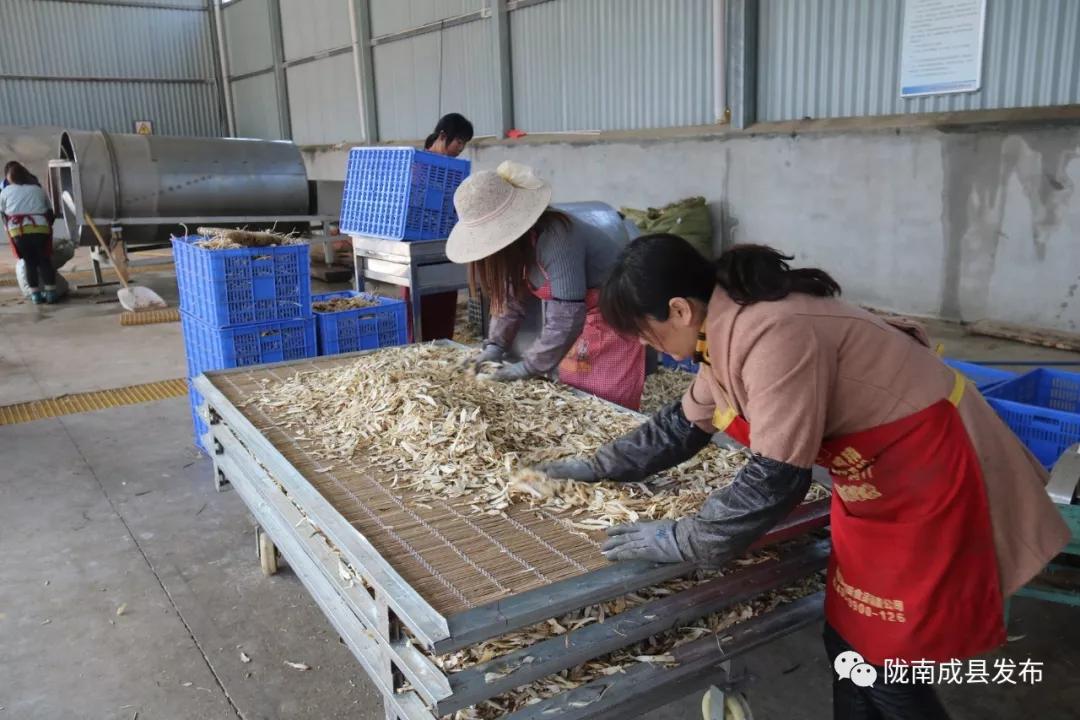 乡镇推动传统产业提档升级,乡镇多举措促进产业转型