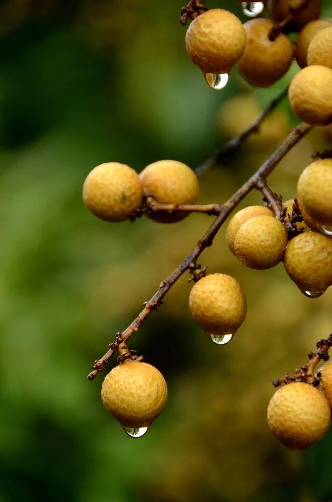 泉州话你真厉害,你真的太拼了英语