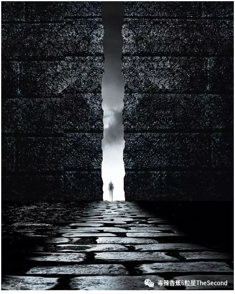 世界上的这些秘密通道：通往恶臭利益的“捷径”！｜毒辣香蕉｜