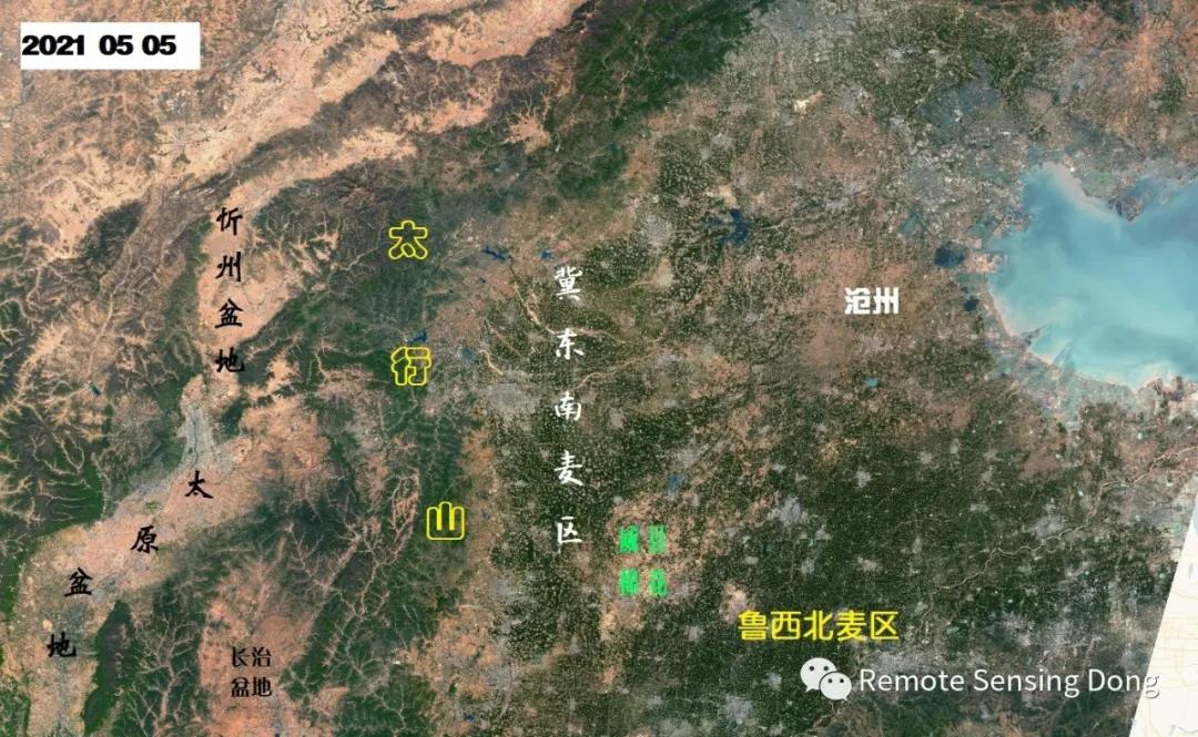 麦熟正当时Ⅴ，卫星看一山隔两季