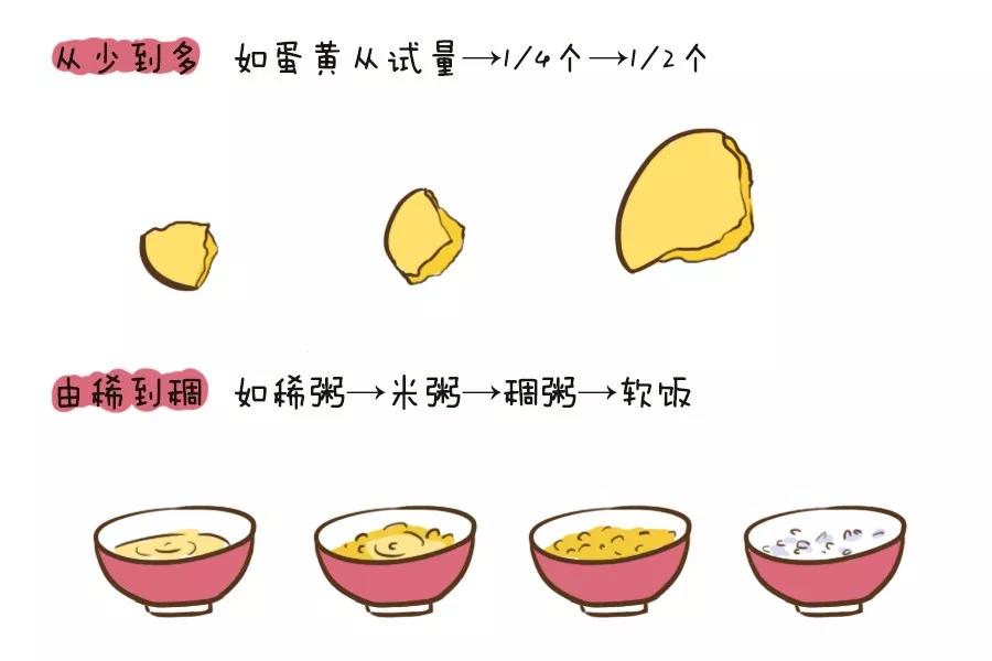 怎样添加婴儿辅食视频,怎样添加辅食简单