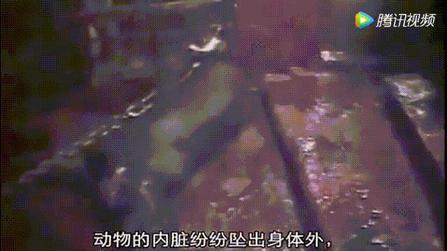 总统喊你来看片，这波硬核安利我吃了