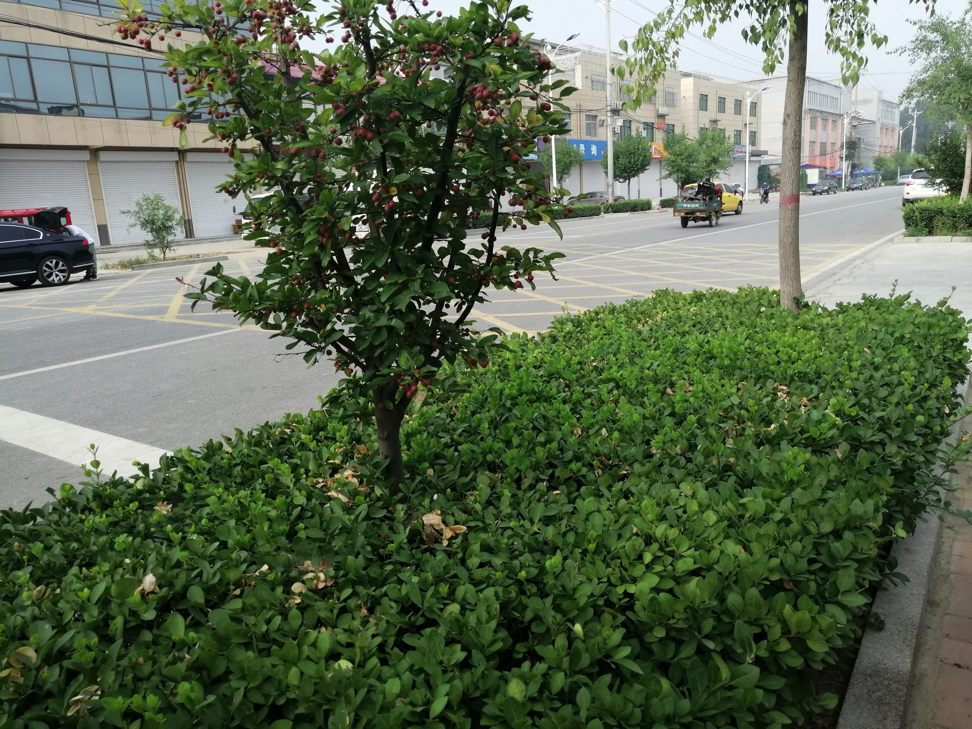 母女俩因为一个男人反目成仇,母女俩相依为命故事