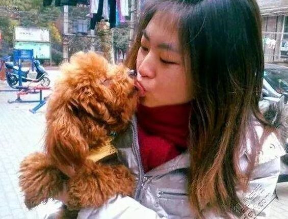 狗狗为什么喜欢舔主人屁股,狗狗为什么喜欢舔肚子呢