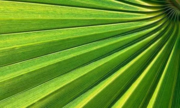 大漆加桐油怎么做面漆干的快又亮,桐油和水性清漆