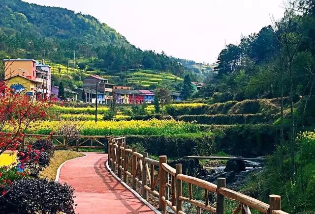 周末玩洱海,假期去大理洱海旅游