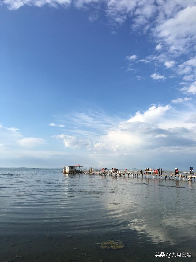 去达里湖看华子鱼洄游,达里诺尔湖华子鱼洄游在哪里